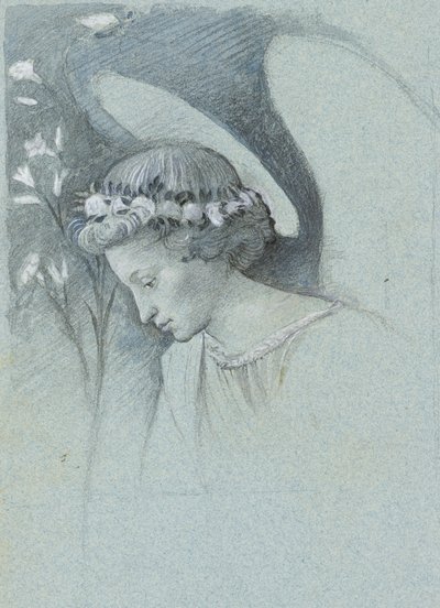 Study of the Head of the Angel Gabriel in Filippo Lippi