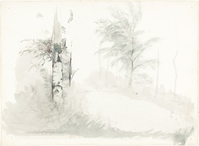 Tree Study by John Ruskin