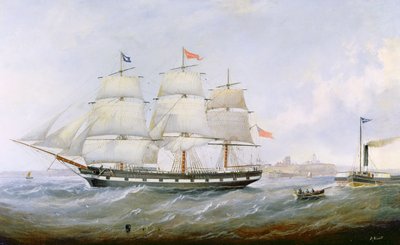 The Ship 