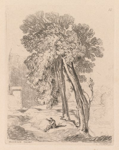 Liber Studiorum: Plate 18, Trees at Norwich Thorp, Norfolk by John Sell Cotman