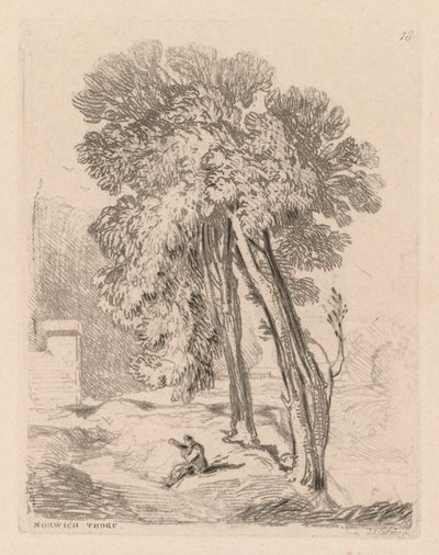Liber Studiorum: Plate 18, Trees at Norwich Thorp, Norfolk by John Sell Cotman