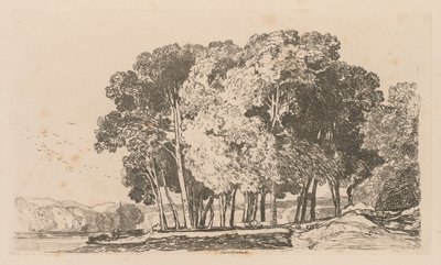 Liber Studiorum: Plate 3, Trees near Twickenham by John Sell Cotman