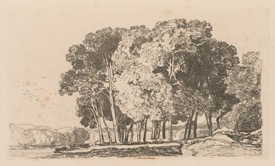 Liber Studiorum: Plate 3, Trees near Twickenham by John Sell Cotman