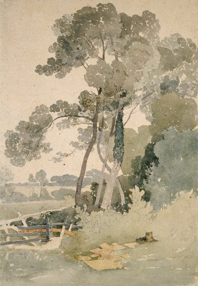 Near Brandsby, Yorkshire by John Sell Cotman
