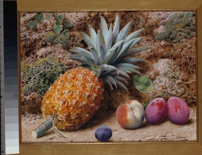 A Pineapple, a Peach and Plums on a Mossy Bank by John Sherrin