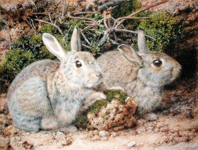 Two Rabbits by John Sherrin