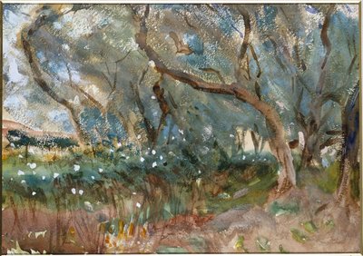 Landscape, Corfu, 1909 by John Singer Sargent