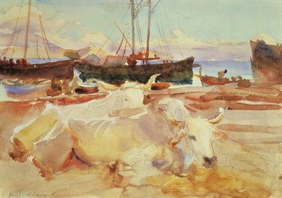 Oxen on the Beach at Baia, c.1908 by John Singer Sargent