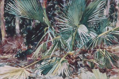 Palmettos by John Singer Sargent