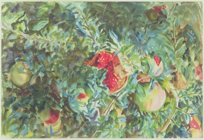 Pomegranates, 1908 by John Singer Sargent