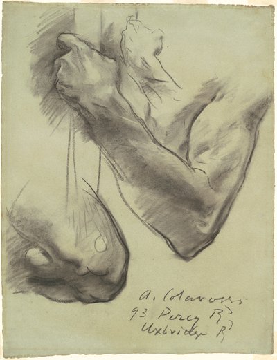 Studies for 
