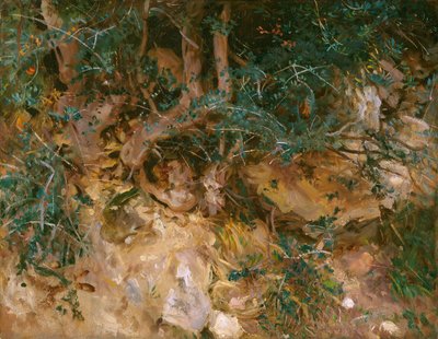 Valdemosa, Majorca: Thistles and Herbage on a Hillside by John Singer Sargent