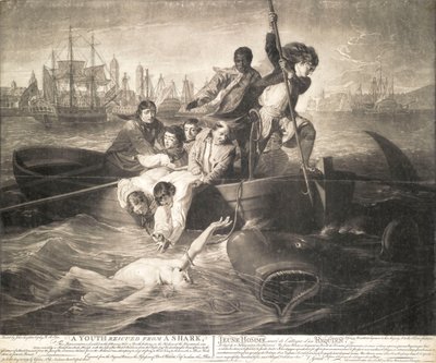 A youth rescued from a shark by John Singleton (after) Copley