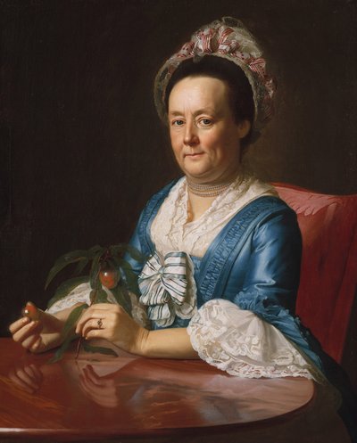 Mrs. John Winthrop by John Singleton Copley