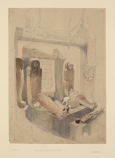 Mummies in the Bristol Institution by John Skinner Prout
