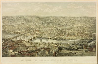 Newcastle upon Tyne in the Reign of Queen Victoria by John Storey