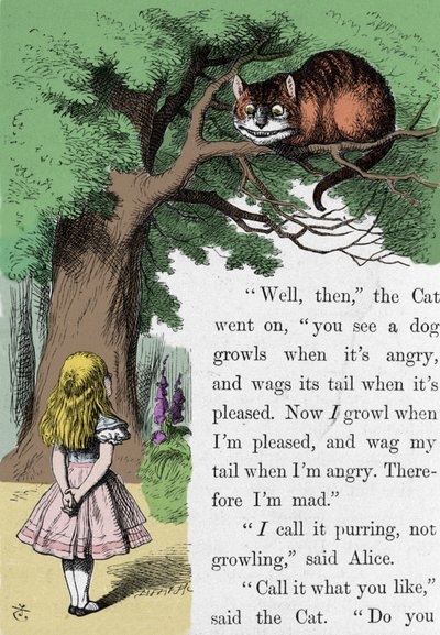 Alice and the Cat, illustration by Sir John Tenniel for the first edition of Alice in Wonderland by English writer Lewis Carroll (Charles Lutwidge Dodgson) (1832-1898) by John Tenniel