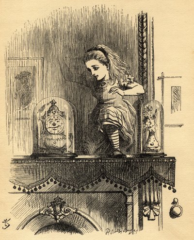Alice in the Looking Glass House, illustration from 