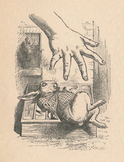 Alice putting her hand down to the White Rabbit by John Tenniel
