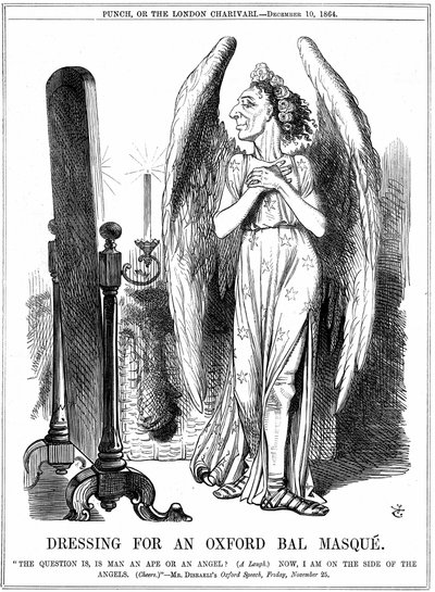 Benjamin Disraeli (1804-81) British Conservative statesman. Now, I am on the side of the Angels. John Tenniel cartoon from Punch, London by John Tenniel