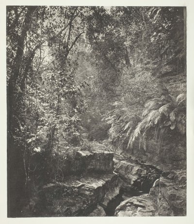 A Mountain Pass in Formosa, c. 1868 by John Thomson