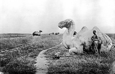 China, carved camels of the Imperial Way, c.1870 by John Thomson