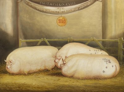 Three improved Leicesters in a pen at 1858 Smithfield Club Christmas Show, 1858 by John Vine