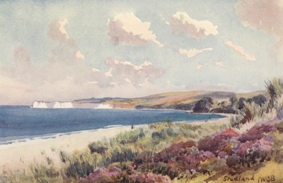 Studland Bay by John W.G. Bond