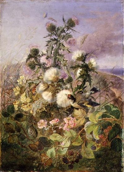 A Goldfinch and a Butterfly amongst Thistles and Blackberry Blossom by John Wainwright