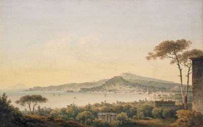 Naples From Sir William Hamilton