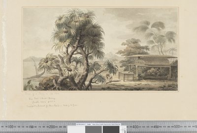 View of a Tomb on Sea Shore by John Webber