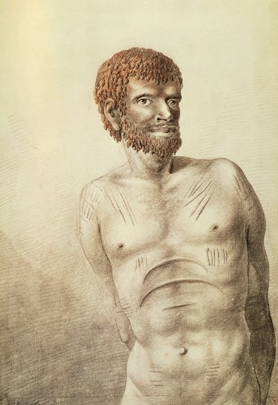 Native of Van Diemen