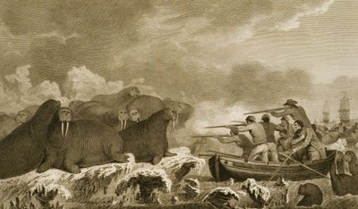 Sea Horses, figures by J. Heath, engraved by E. Scott, plate 52 from 