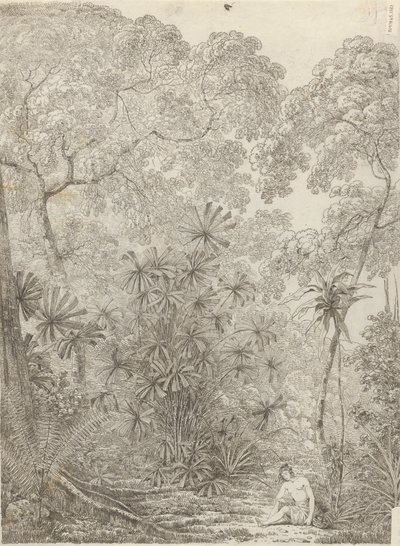 The Fan Palm of Cracatoa by John Webber
