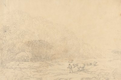 View in the Island of Pulo Condore by John Webber