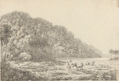 View in the Island of Pulo Condore by John Webber