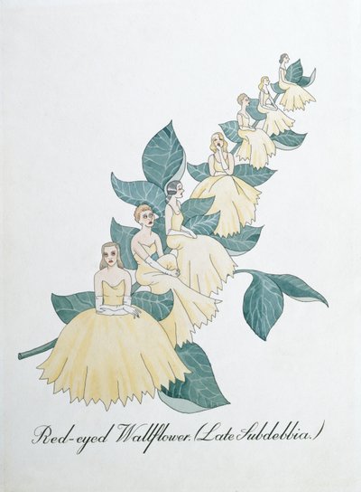 Red-Eyed Wallflower (Late Subdebbia), Illustration from 