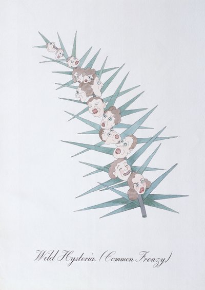 Wild Hysteria (Common Frenzy), Illustration from 