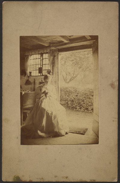 Woman in long striped dress seated inside room by John Whistler