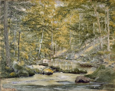 Woodland Pool with Men Fishing, 1870 by John William Hill