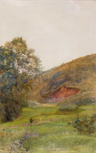 The Quantock Hills, c.1870 by John William North