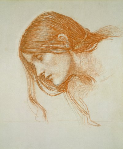 Study of a Girl