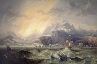 HMS 