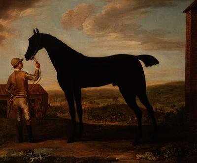 "Basto", Dark Bay Racehorse Held by Groom Outside the Stable at Newmarket by John Wootton