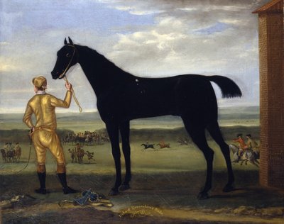 The Duke of Devonshire
