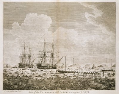 A View of the 