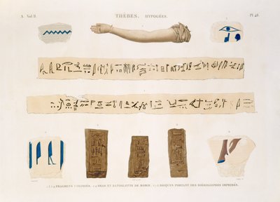 Illustrations of Hieroglyphics and the arm of a mummy from Hypogees, Thebes, plate 48 from Vol II of `Descriptions of Egypt`, engraved by Charles, 1822 by Jomard