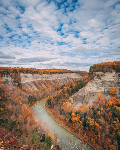 Autumn Colors in the Gorge at Letchworth State Park, New York, USA by Jon Bilous