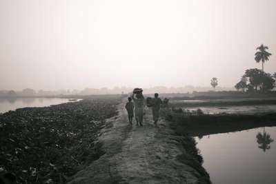 Wetland fishing in Kolkata, 2016 by Jon Nicholson