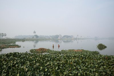 Wetland fishing in Kolkata, 2016 by Jon Nicholson